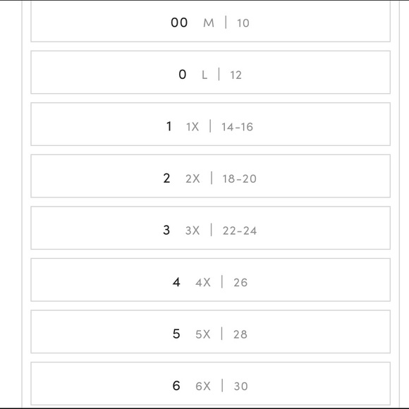 Torrid embroidered kimono mesh white - Picture 6 of 6